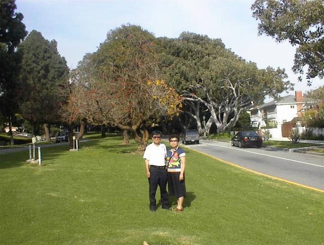 park5.JPG
